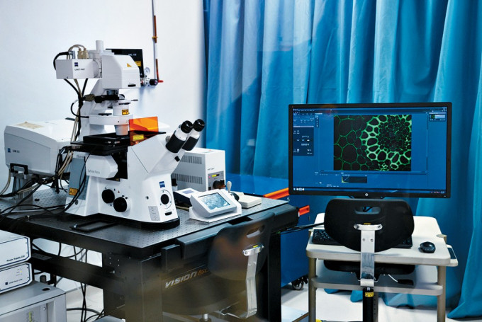 有建议指应增加支持配套,协助初创走出香港。 有建议指应增加支持配套,协助初创走出香港。