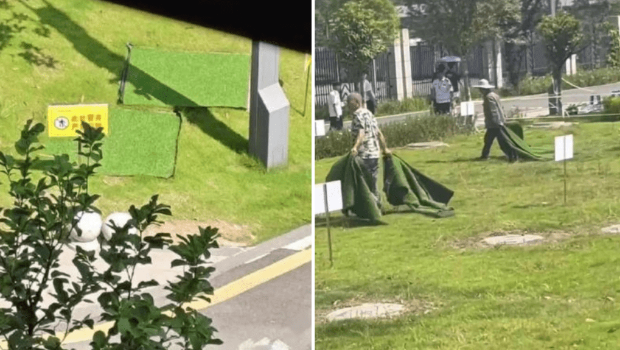 重庆大学生误堕校内化粪池亡 重庆大学生误堕校内化粪池亡