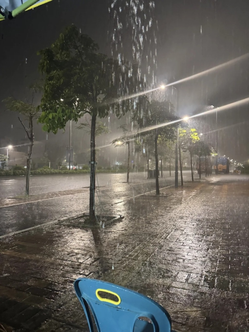 广东阳江 广东阳江