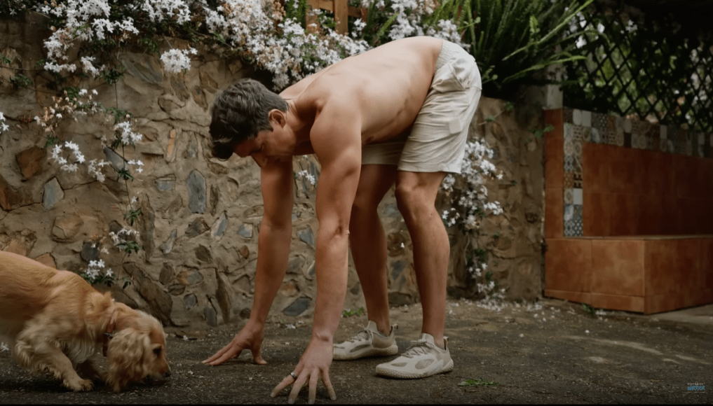 大象式伸展(The elephant walk into pike hold) 大象式伸展(The elephant walk into pike hold)