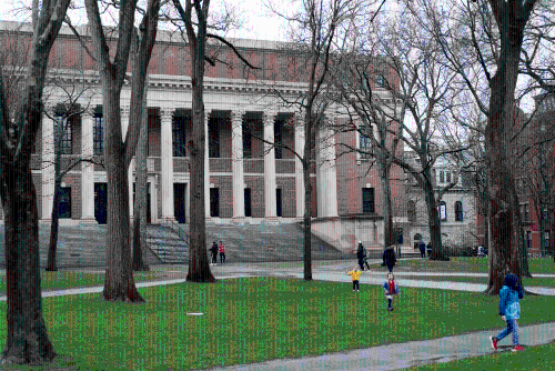 哈佛大学被禁收录国际生,国际留学生感沮丧担忧。 哈佛大学被禁收录国际生,国际留学生感沮丧担忧。