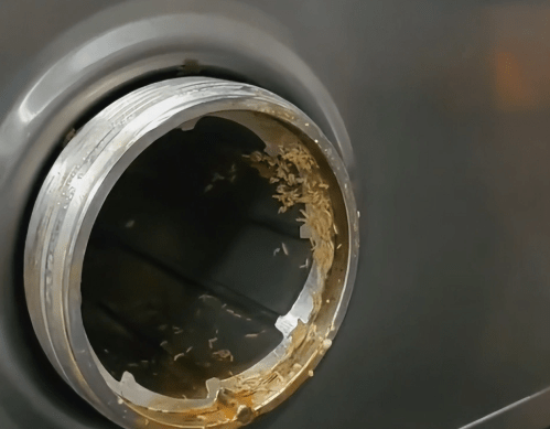 浙江小学食堂绞肉机惊现大量活蛆。 浙江小学食堂绞肉机惊现大量活蛆。