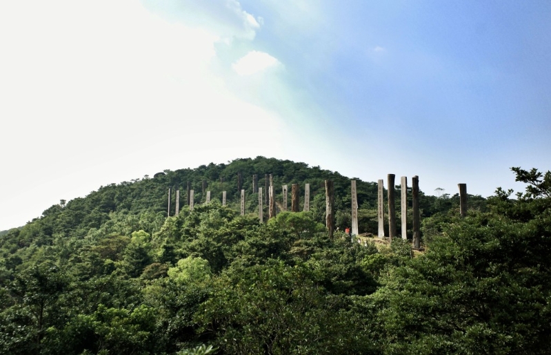 心经简林。 心经简林。