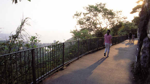 西高山段的炉峰自然步道。 西高山段的炉峰自然步道。