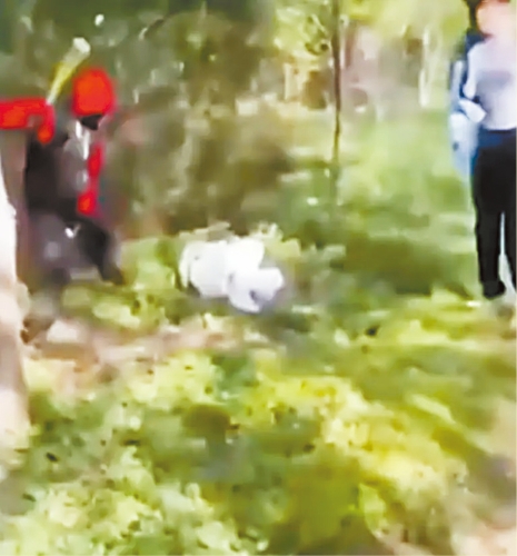 网上影片可见,少女在公园内被殴打。 网上图片 网上影片可见,少女在公园内被殴打。 网上图片