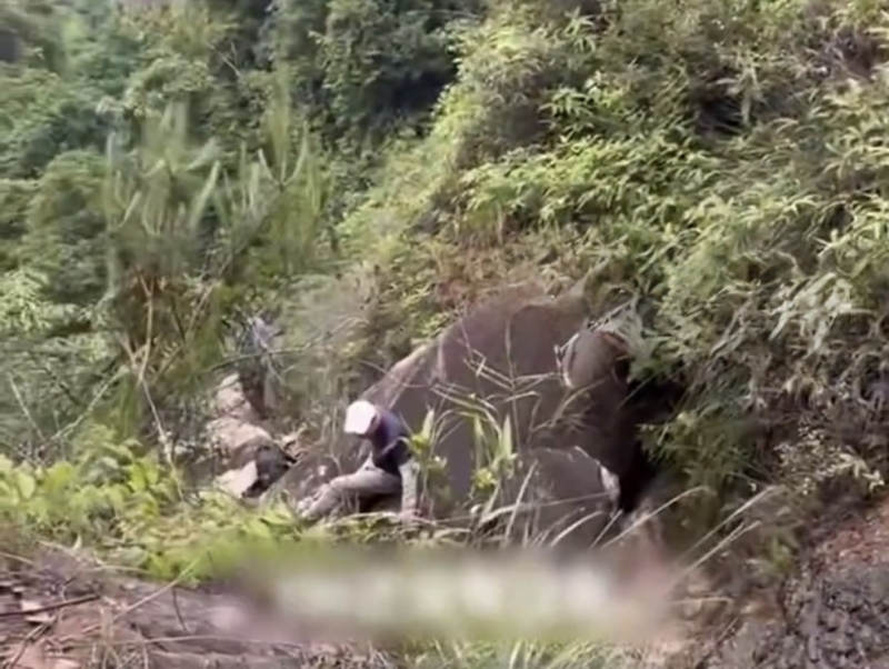 坠崖地点 坠崖地点