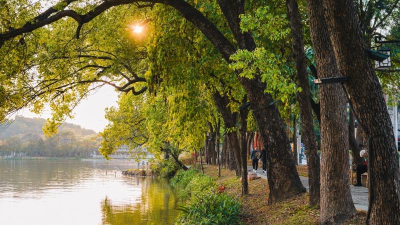 祝屋巷风景秀丽。 祝屋巷风景秀丽。