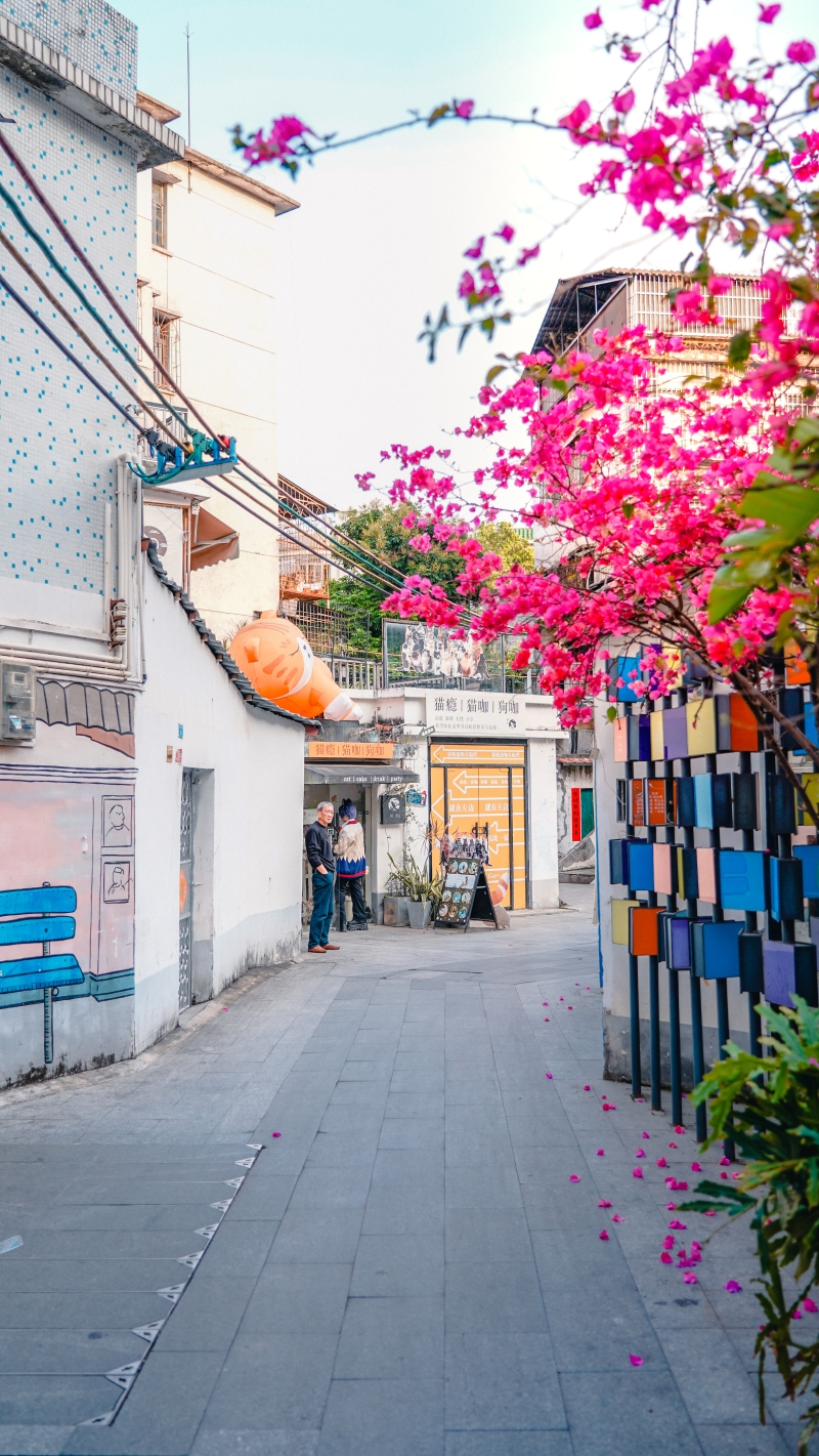 祝屋巷的小巷民居整体风貌保存完好。 祝屋巷的小巷民居整体风貌保存完好。