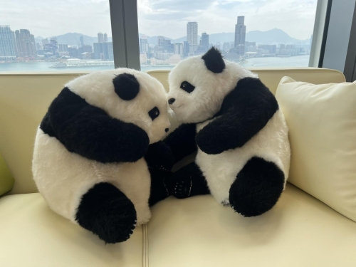 罗淑佩家中一对小熊猫窃窃私语。 罗淑佩fb 罗淑佩家中一对小熊猫窃窃私语。 罗淑佩fb