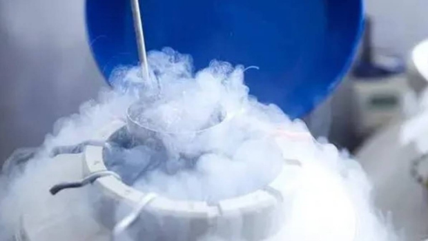 法院指,体外冷冻胚胎在符合特定条件下,也算是死者遗腹子。 法院指,体外冷冻胚胎在符合特定条件下,也算是死者遗腹子。