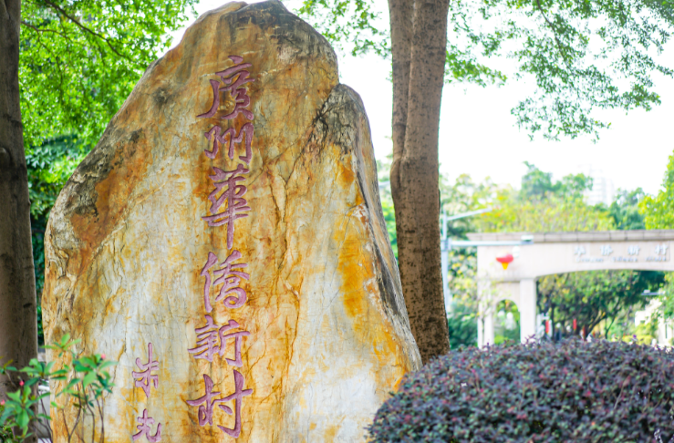 微信图片_20250528074501