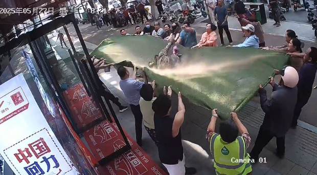 河南百岁老人堕楼被众人合力接住 河南百岁老人堕楼被众人合力接住