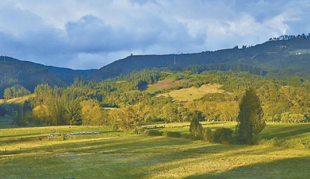 科学家透过古人类DNA分析, 发现约6000年前有一个之前未被发现的早期人类群体。 科学家透过古人类DNA分析, 发现约6000年前有一个之前未被发现的早期人类群体。