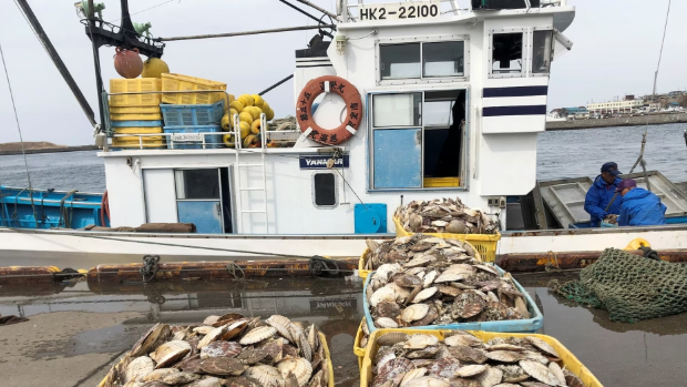 据报中日就重启日本水产品进口达成共识。 据报中日就重启日本水产品进口达成共识。