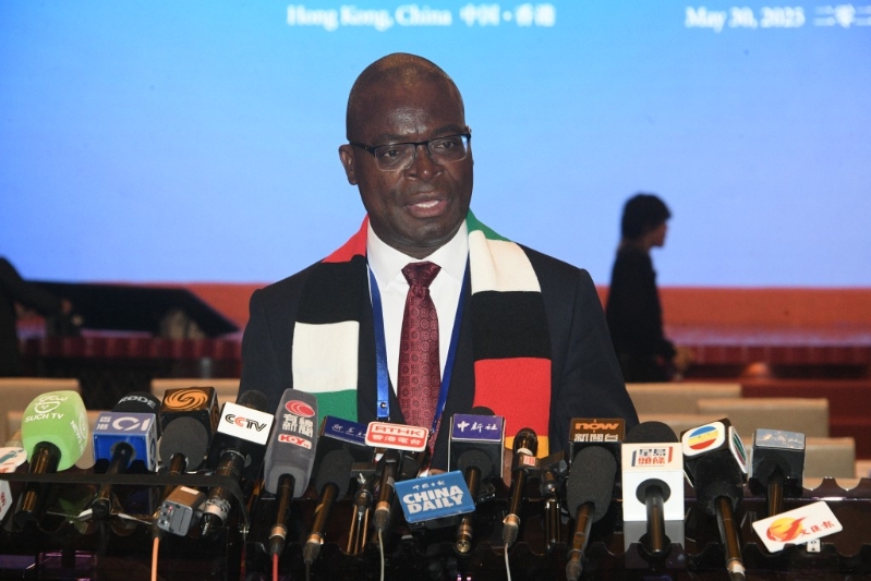 津巴布韦外长穆尔维拉。 津巴布韦外长穆尔维拉。