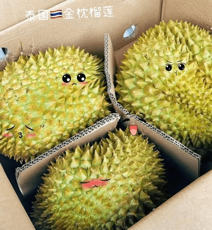 泰国金枕。 泰国金枕。