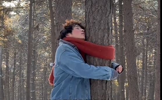 “森林疗养”抱古树释压 “森林疗养”抱古树释压