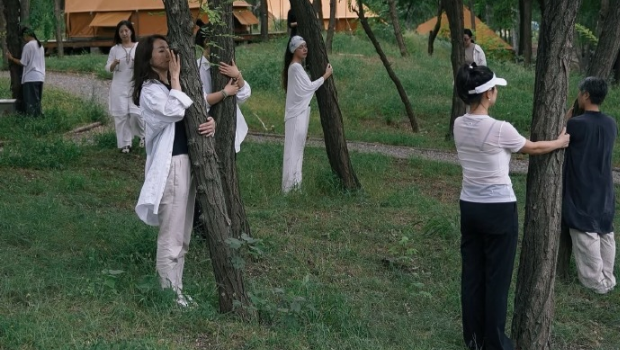 “森林疗养”抱古树释压。 “森林疗养”抱古树释压。