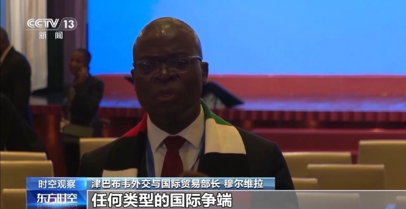 津巴布韦外交与国际贸易部长穆尔维拉 津巴布韦外交与国际贸易部长穆尔维拉