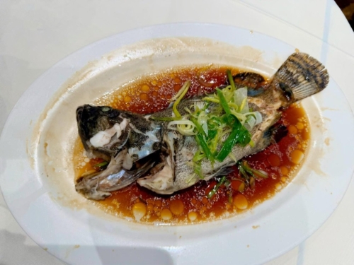 503170154_9949405548458790_6918256685696461589_n 503170154_9949405548458790_6918256685696461589_n