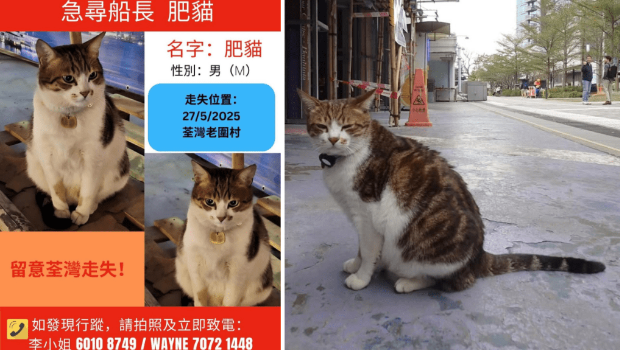 北角码头船公司称得悉下落 北角码头船公司称得悉下落