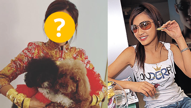 息影女星现身香港会计师公会讲座靓样不变 息影女星现身香港会计师公会讲座靓样不变