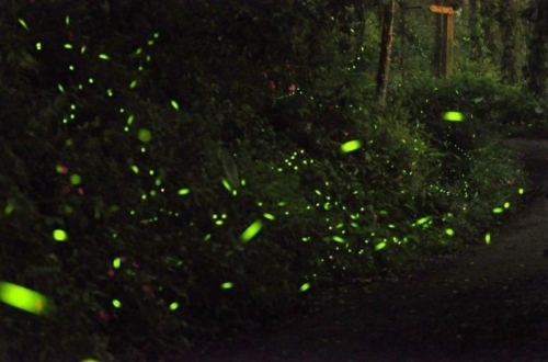 (图片来源:kkday) (图片来源:kkday)