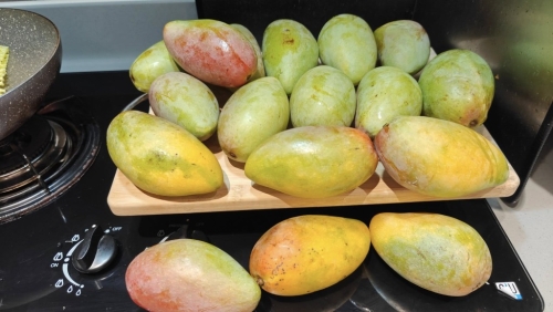 从照片可见芒果有大有小,大多外皮仍为绿色,事主表示下单后5天便收货,“全部都好靓冇烂,不过有大有细,但都非常满意”(拼多多 开心share 分享群) 从照片可见芒果有大有小,大多外皮仍为绿色,事主表示下单后5天便收货,“全部都好靓冇烂,不过有大有细,但都非常满意”(拼多多 开心share 分享群)