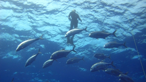 sea-79951_1280 sea-79951_1280