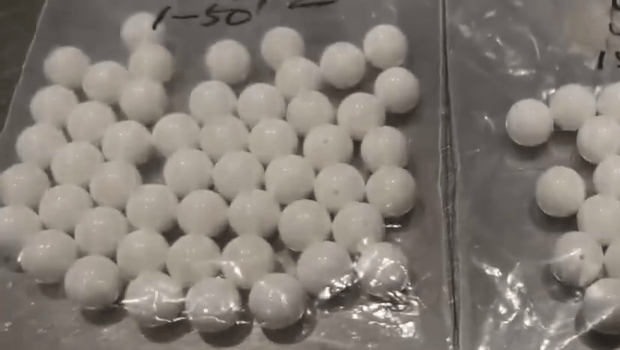 该批白色圆珠均为濒危动物双壳纲帘蛤目砗磲科制品。 该批白色圆珠均为濒危动物双壳纲帘蛤目砗磲科制品。