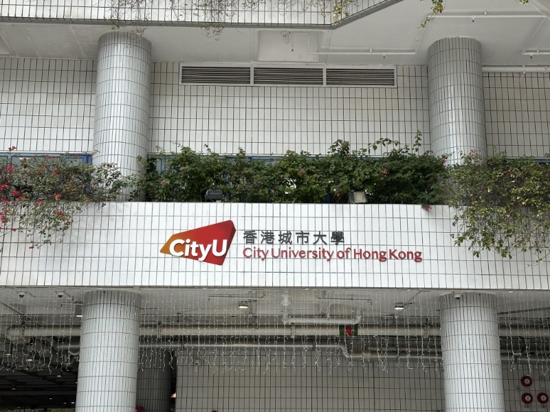 城市大学 城市大学