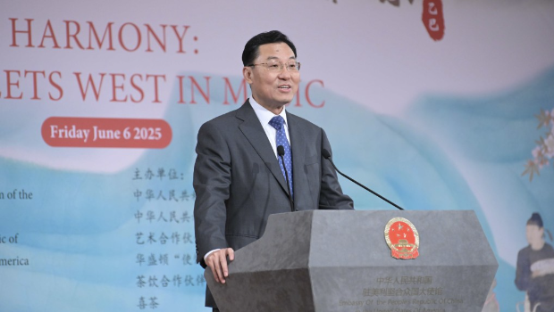 中国驻美大使 中国驻美大使