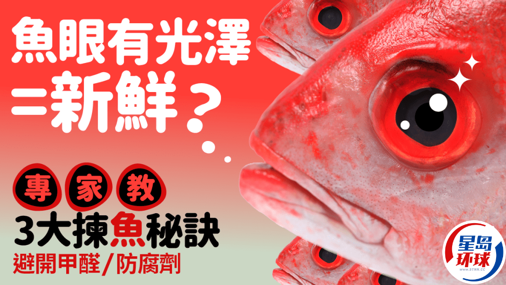 买鱼要看鱼眼 买鱼要看鱼眼