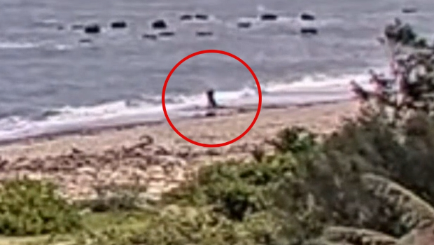 酒店妹与客户游花莲遭残杀。 酒店妹与客户游花莲遭残杀。