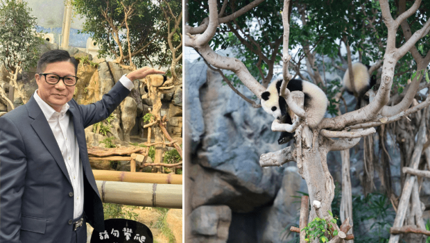 邓炳强第一次探“加加”“得得” 邓炳强第一次探“加加”“得得”