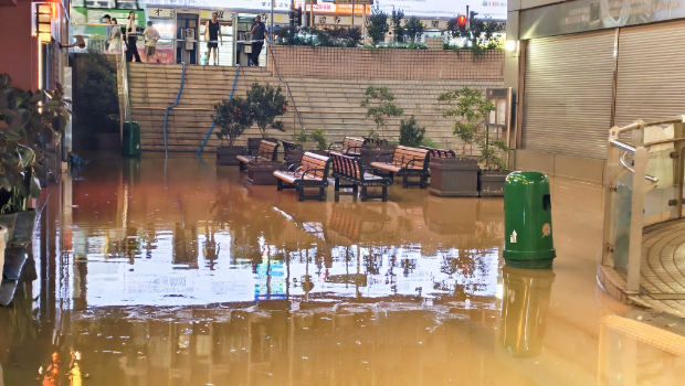 酒店对开的普庆广场花园顿成泽国。 酒店对开的普庆广场花园顿成泽国。