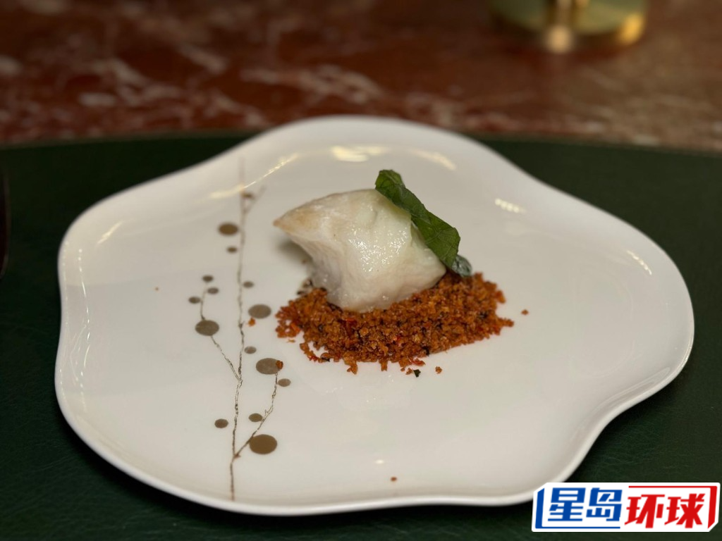 WhatsApp_Image_2025-06-11_at_17_59_57_4_ WhatsApp_Image_2025-06-11_at_17_59_57_4_