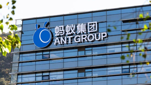 蚂蚁国际 蚂蚁国际