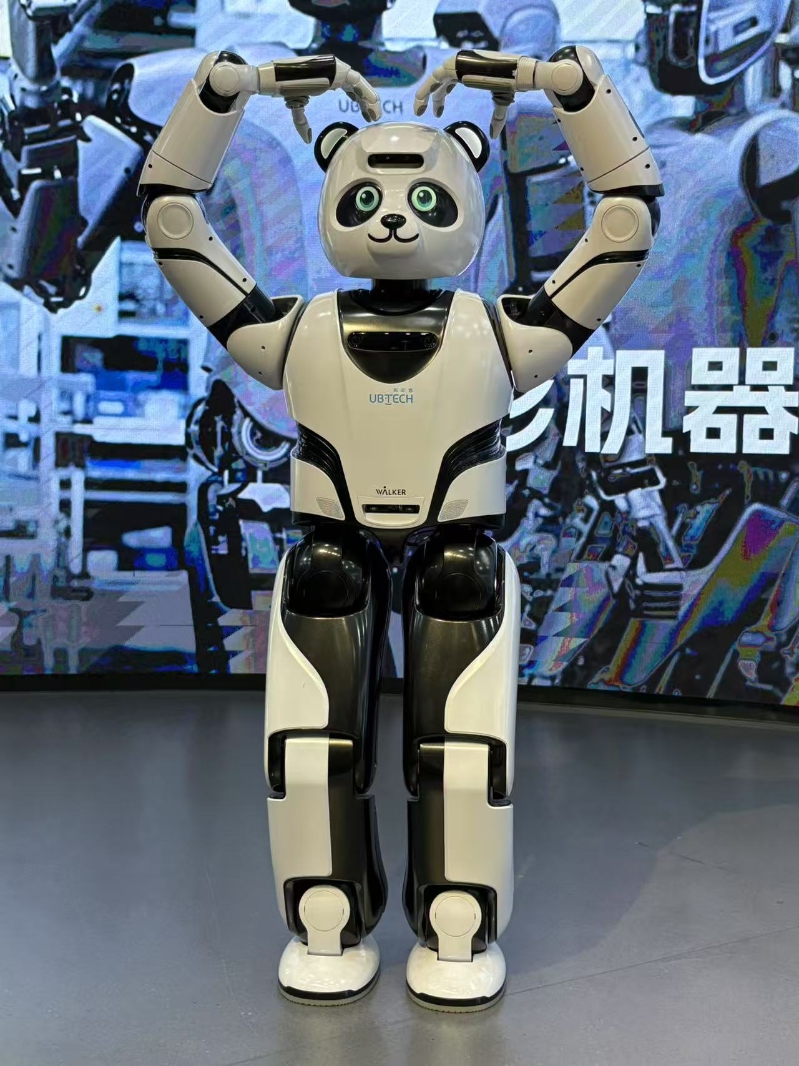 人形机器人 人形机器人