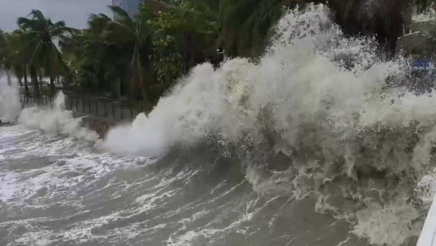 蝴蝶台风 蝴蝶台风