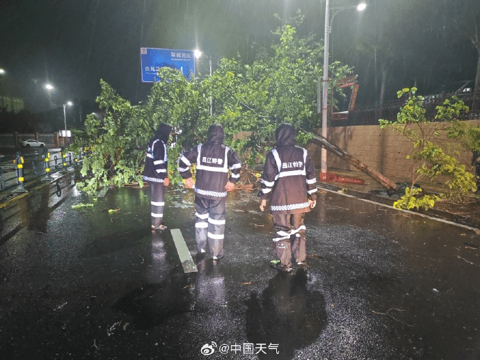 台风“蝴蝶”过境海南昌江,城区树木倒伏,交警城管连夜清障。 中国天气 台风“蝴蝶”过境海南昌江,城区树木倒伏,交警城管连夜清障。 中国天气