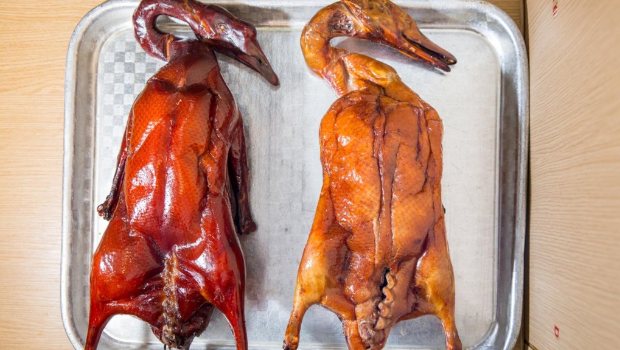 烧鹅和烤鸭放在一起比较。 烧鹅和烤鸭放在一起比较。