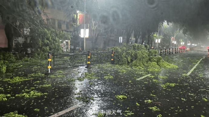 城区树木倒伏 城区树木倒伏