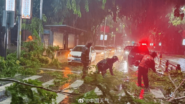 台风“蝴蝶”过境海南昌江,城区树木倒伏,交警城管连夜清障。 台风“蝴蝶”过境海南昌江,城区树木倒伏,交警城管连夜清障。