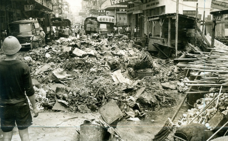 “温黛” 过后满目疮痍。 资料图片 “温黛” 过后满目疮痍。 资料图片