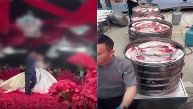 浙江商人豪摆252桌酒席 浙江商人豪摆252桌酒席