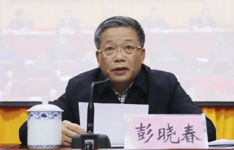 彭晓春(资料图) 彭晓春(资料图)