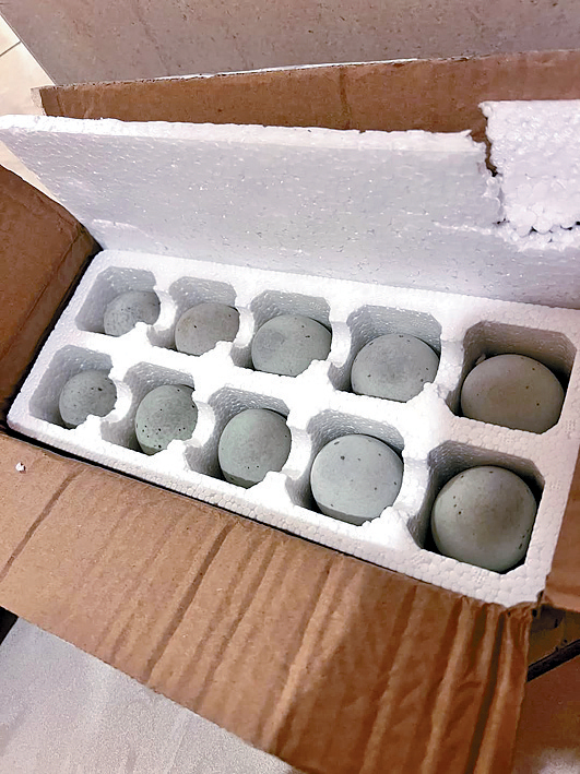 有港人集运皮蛋来港,1箱10只仅售12.4元人民币。 有港人集运皮蛋来港,1箱10只仅售12.4元人民币。