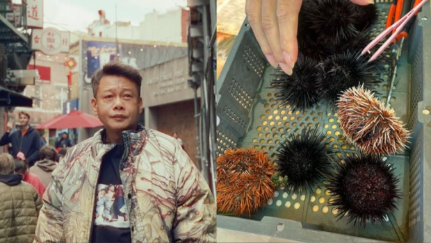 李康生涉偷窃海胆被当场拘捕。 李康生涉偷窃海胆被当场拘捕。