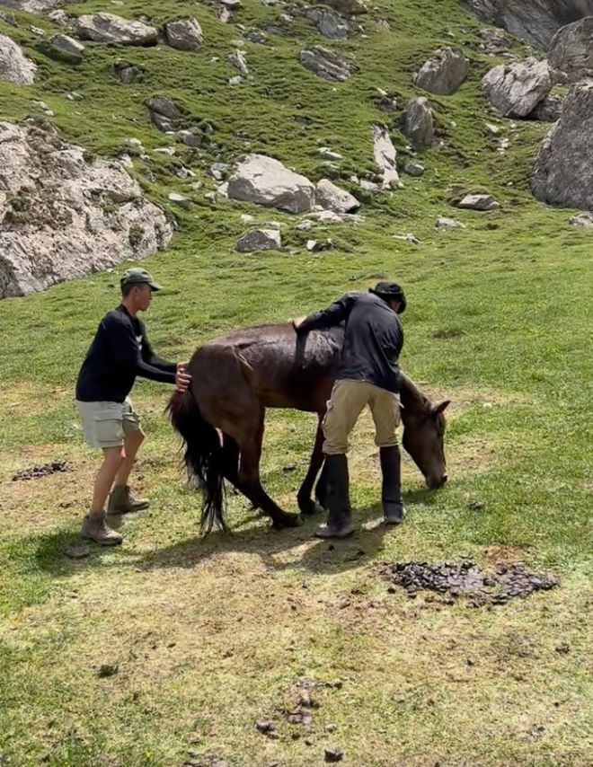 有游人曾尝试扶起马匹。 有游人曾尝试扶起马匹。